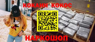 индика Сланцы