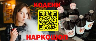 индика Сланцы