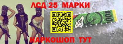 индика Сланцы