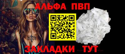 индика Сланцы