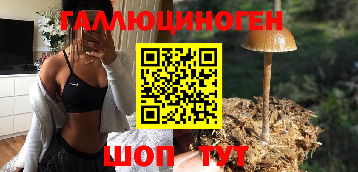 Галлюциногенные грибы мицелий Норильск