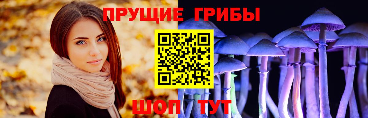 Псилоцибиновые грибы мухоморы  Вход с VPN  Норильск 